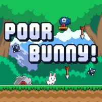 Poor Bunny