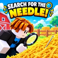 Search For The Needle